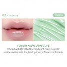 #02 Greenery thumbnail