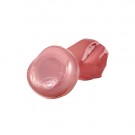 JN03 Custard thumbnail