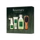 Aromatica Rosemary Scalp Scaling Trial Kit thumbnail