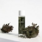 Dr. Althea Anastatica Skin Conditioning Toner 250ml thumbnail