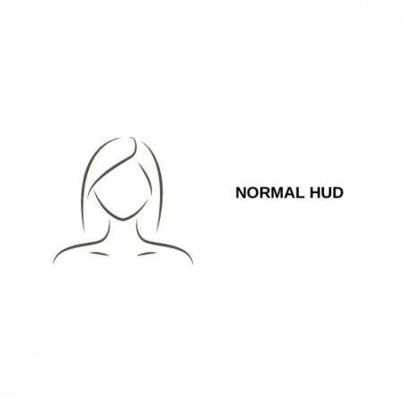 Normal hud